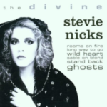 16.The Divine - Stevie Nicks