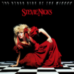 4.The Other Side Of The Mirror - Stevie Nicks