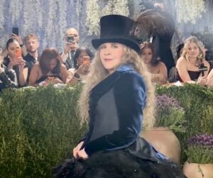 Stevie NIcks at Met Gala 2026