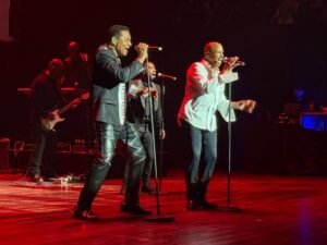 Jacksons