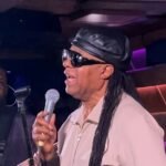 Stevie Wonder